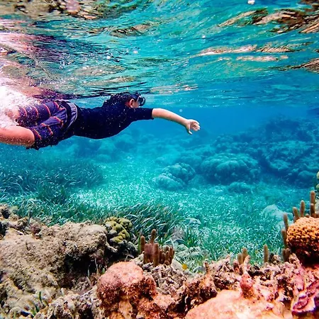 Aldeas Taray Admer 002 Appartement *