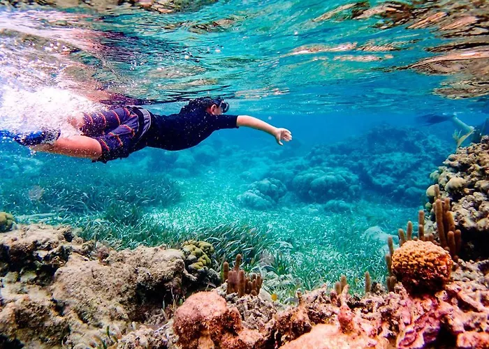 Aldeas Taray Admer 002 Appartamento *